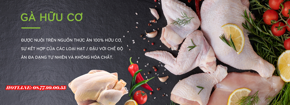 THỊT GÀ ĐÔNG LẠNH