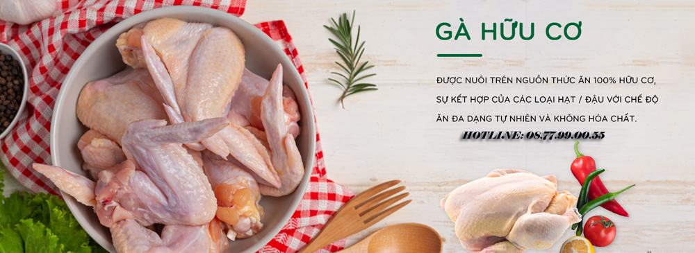 THỊT GÀ GIÁ SỈ