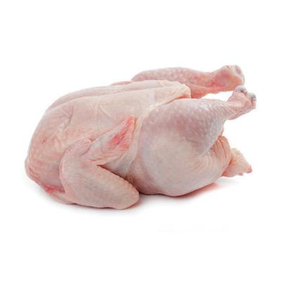 Cung cấp thịt gà đông lạnh giá gốc, chất lượng tại tphcm