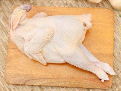 Gà Dai Nguyên Con Nhập Khẩu giá sỉ