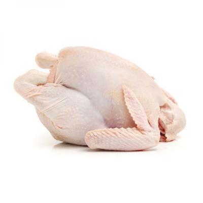 Gà Hanryeo 12 Con Size S (14-15kg)