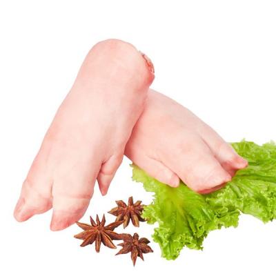 Mua bán sỉ Dựng Trước Heo