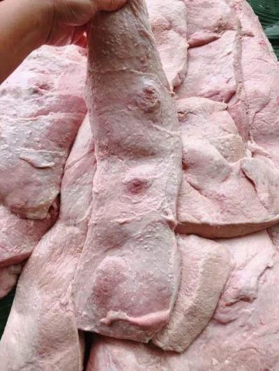 Mua bán sỉ Vú Heo đông lạnh ( nầm heo )