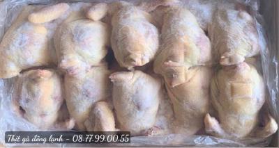 Mua Thịt Gà Đông Lạnh Sỉ Ở Đâu Uy Tín?