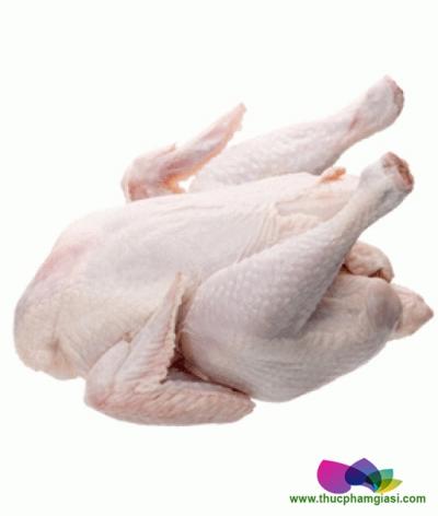 Thịt gà dai đông lạnh Hàn Quốc giá sỉ