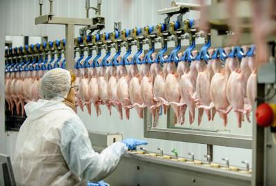 Thịt gà đông lạnh giá sỉ nhập khẩu, tươi sạch tại TP.HCM