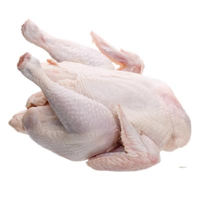 Thịt Gà Đông Lạnh Nhập Khẩu