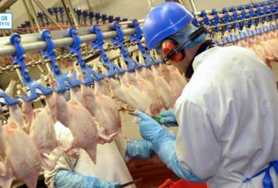 Tổng kho cung cấp thịt gà đông lạnh TP.HCM sỉ và lẻ